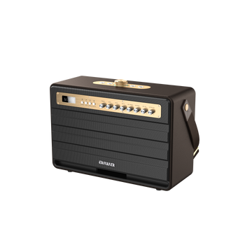 Aiwa MI-X450/GD Boxa portabila cu doua microfoane si telecomanda